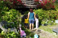 Florida and Texas: The frontiers of reproductive health and abortion access in the US