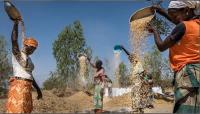 Russia is co-operating with Burkina Faso in agricultural and AI spheres — REC
