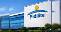 Pidilite, South Korea's Hwaseung Chemical partner to bring footwear adhesives to India
