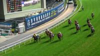 ‘Austrian Painter’ horse renamed over Hitler link