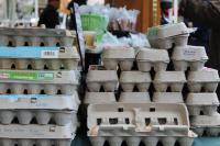Got a notice in the mail for SNAP benefits? Respond by Monday, Oregon officials say.