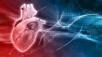 Research on Prosthetic Heart Valve, AI-Based Cardiac Monitoring Are Future Areas: Doctors