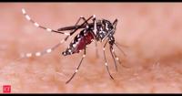 Florida on alert as state declares emergency over ‘breakbone fever’ dengue outbreak