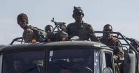 Ethiopia claims Eritrea, Sudan and Egypt helping rebels