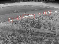 CDOT I-25 South Gap projects reduce wildlife collisions by 91%