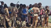 Ethiopia's army chief accuses Eritrea, Sudan and Egypt of supporting Tigray rebels
