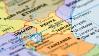 Kenya seeks solutions to boost feed, milk supply resilience