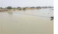 World River Day: NIWE raises concern over pollution of River Kaduna 