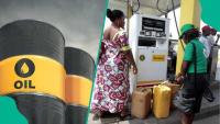 Nigeria Gets More Petrol From Dangote Refinery as Crude Supply to Local Refineries Surges