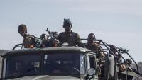 Ethiopia claims Eritrea, Sudan and Egypt helping rebels