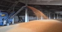 Russian attacks on Ukraine's warehouses and transport routes squeeze agricultural exports