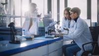 Europe’s young scientists celebrated for groundbreaking research