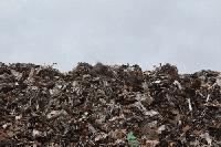 Wisconsin DNR shares food waste prevention tips during statewide awareness week