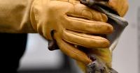 The 2026 Indiana Bat Festival at Indiana State University