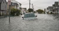 Watch: Shark Seen Swimming Through the Streets of New Jersey as Nor'Easter Brings Chaos