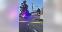 Man killed in Tacoma police shooting during domestic violence call