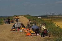 Poor road conditions leave North Korean drivers paying for constant tire repairs
