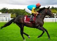 German Derby-Winning Trainer Markus Klug To Return To Training