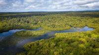 Ceibo Alliance receives 1 million euros from the Gulbenkian Prize 2026 to protect the Amazon and expand solar energy