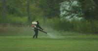 Public Health to spray for mosquitoes in local MetroPark following virus detection