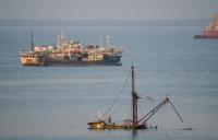 More equitable fishing access agreements could help address malnutrition in West Africa, Oceana-led study finds
