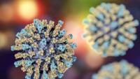 Pennsylvania Measles Cases Top 900 As Outbreak Continues To Spread