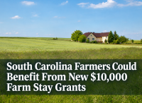 South Carolina Farmers Could Benefit From New $10,000 Farm Stay Grants