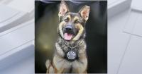 Tennessee K-9 dies from heatstroke after being left outside without water for 36 hours, sheriff says