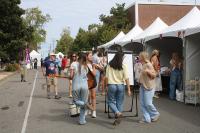 First Annual Art &amp; Wonder Festival Comes to Belmont
