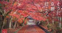 How to get into this beautiful off-the-beaten-path Kyoto temple earlier than the general public