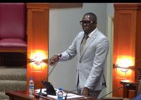 Pringle Backs Firearms Amendment but Says Government Must Stop Guns Reaching the Streets