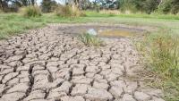 Oklahoma is in 'bad shape' as flash droughts dry ponds and push wildfire danger higher