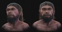 Scientists digitally reconstruct the face of a human who lived 315,000 years ago
