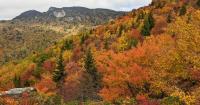 Western North Carolina could see a delay in this year's fall colors