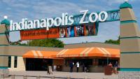 Indianapolis Zoo loses AZA accreditation status