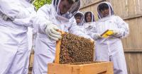 The Sweet Story of Beekeeping with High School Students