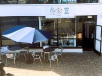 Brio brings recovery, healthy living, and connection to Coronado