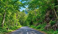 Ecosystems and livelihoods: A pathway to good forest governance
