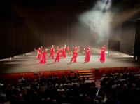 Flamenco gala in Murcia raises funds for children with hearing difficulties