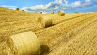 Manitoba farm group leadership change
