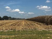 Harvest pace picks up throughout southwest Indiana