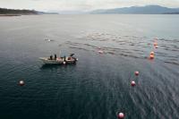NOAA studies kelp farms, marine life near Juneau