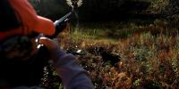 Fall hunting guide 2026: The best places to hunt, when seasons begin and what animals are in season