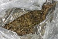 Customs seizes 11.7 kg of cannabis