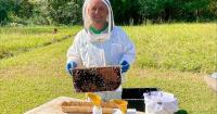 Arkansas joins national survey tracking honey bee health, diseases