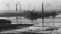 Dhaka’s Invisible Emergency: When the Air Itself Becomes a Threat
