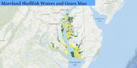 Oyster season ahead, Maryland has Shellfish Waters and Gears Map online