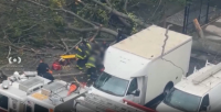 East New York neighbors concerned after NYCHA worker killed by fallen tree