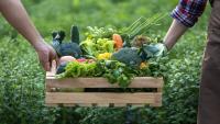 Illinois opens $26 million grocery rescue as food deserts leave rural towns miles from produce