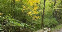 St. Albans Barracks / Request for Public Assistance / Littering on Rail Trail in Sheldon